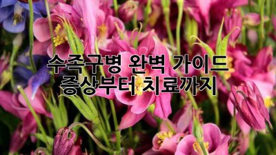 수족구병 완벽 가이드: 증상부터 치료까지!