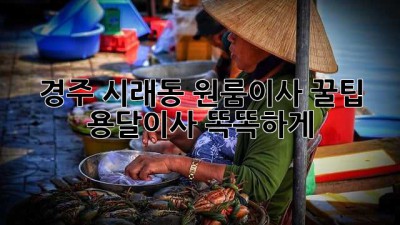 경주 시래동 원룸이사 꿀팁🍯 용달이사 똑똑하게!