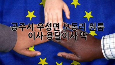 공주시 우성면 오동리 원룸 이사? 용달이사 딱!